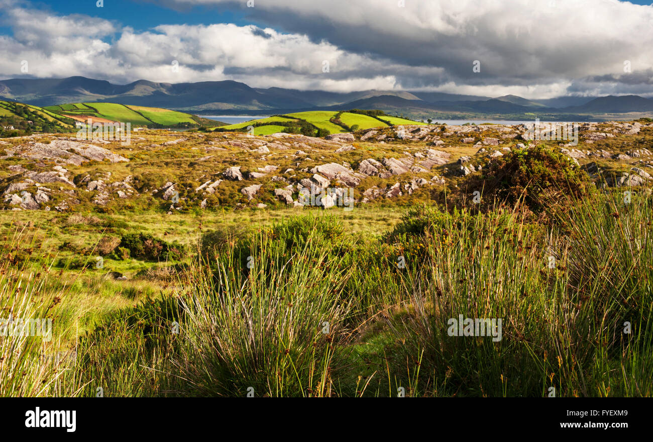 Vista su Ardgroom, penisola di Beara, County Cork, Irlanda, attraverso Kenmare Bay per le montagne della penisola di Iveragh Foto Stock