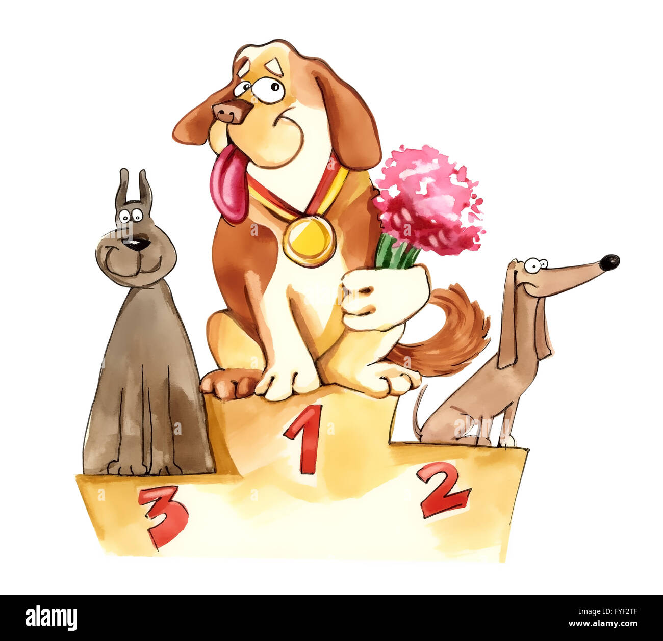 Cani sul podio espositivo Foto Stock