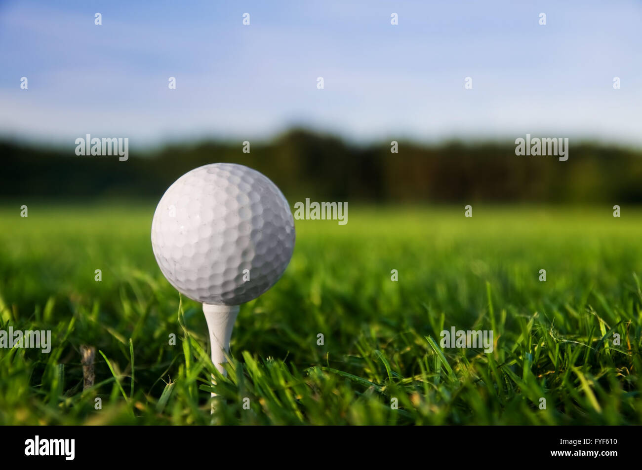 Palla da golf sul raccordo a t. Erba verde Foto Stock