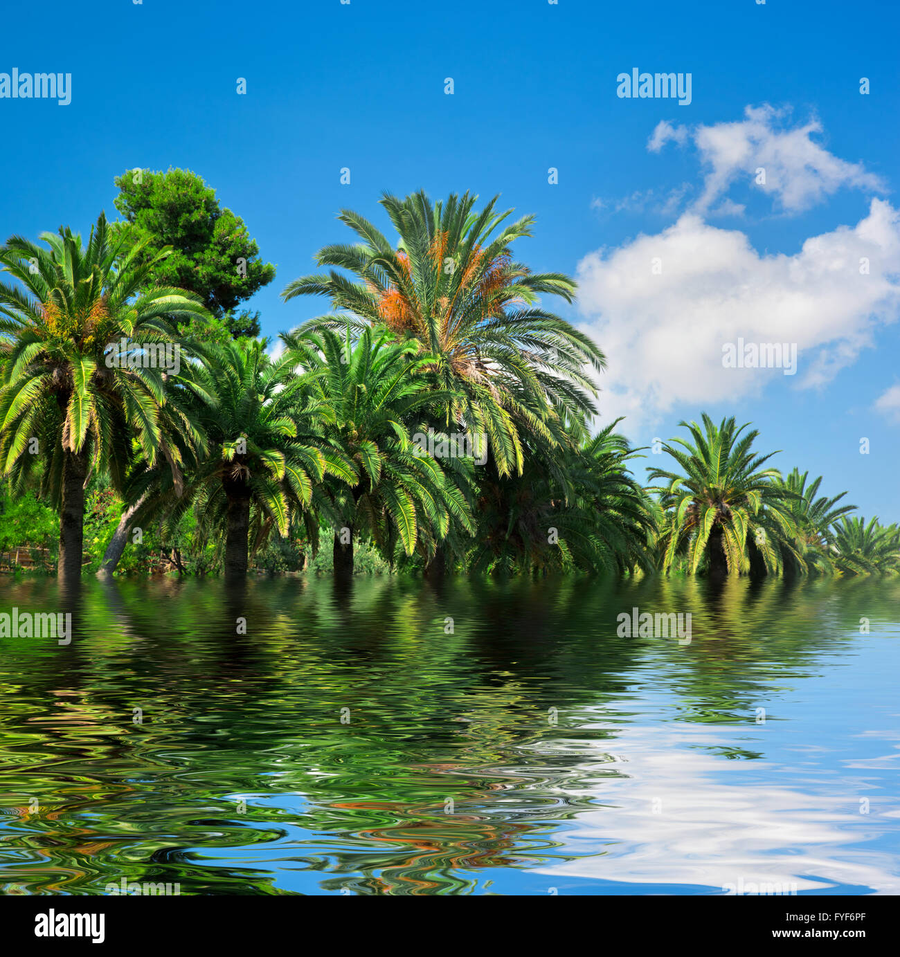 Tropical giungla esotica e acqua Foto Stock