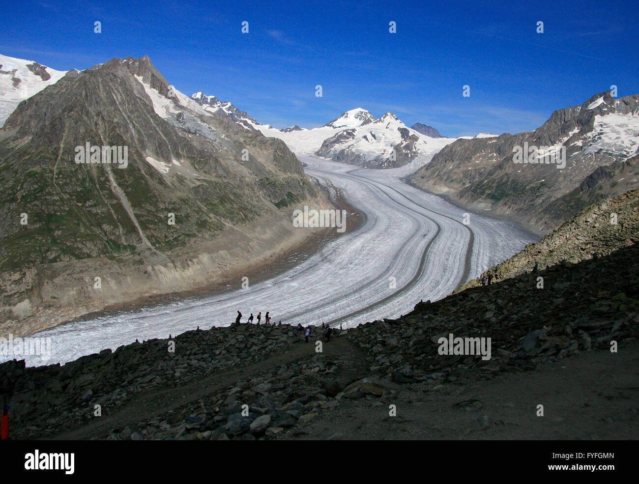 Aletschgletscher mit Eiger e Jungfrau und Moench, Kanton Wallis, Schweiz. Foto Stock