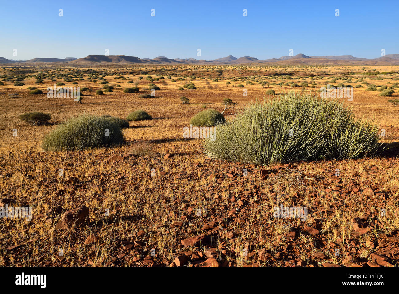 Semi arido paesaggio di Damaraland, provincia di Kunene, Namibia Foto Stock