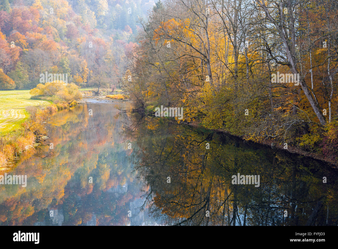 Danubio superiore natura Parco in autunno, Giura Svevo, Baden-Württemberg, Germania Foto Stock