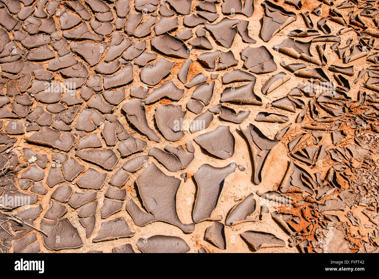 Concetto ambientale, la carenza idrica e siccità asciutto fango incrinato fotografato nel deserto del Negev, Israele Foto Stock