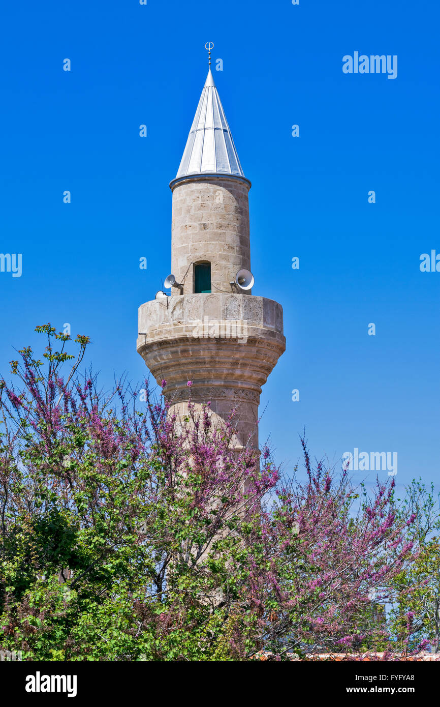 Cipro del Nord in primavera il minareto della moschea di Kyrenia circondato da un albero con fiori viola Foto Stock