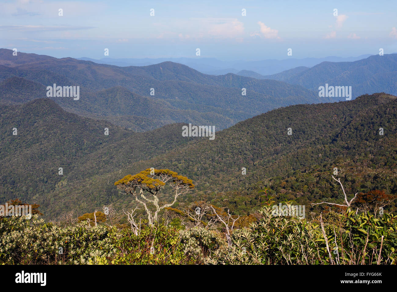 Una vista panoramica della mounatin Sumatra - Indonesia Foto Stock