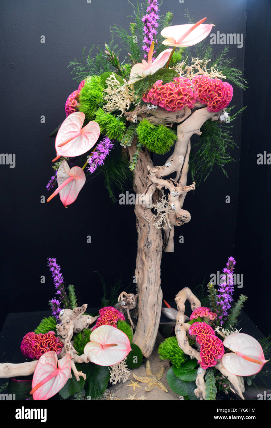 Arte floreale Design intitolato "Oceani profondità nascoste" sul display in corrispondenza della molla di Harrogate Flower Show. Yorkshire Regno Unito. Foto Stock