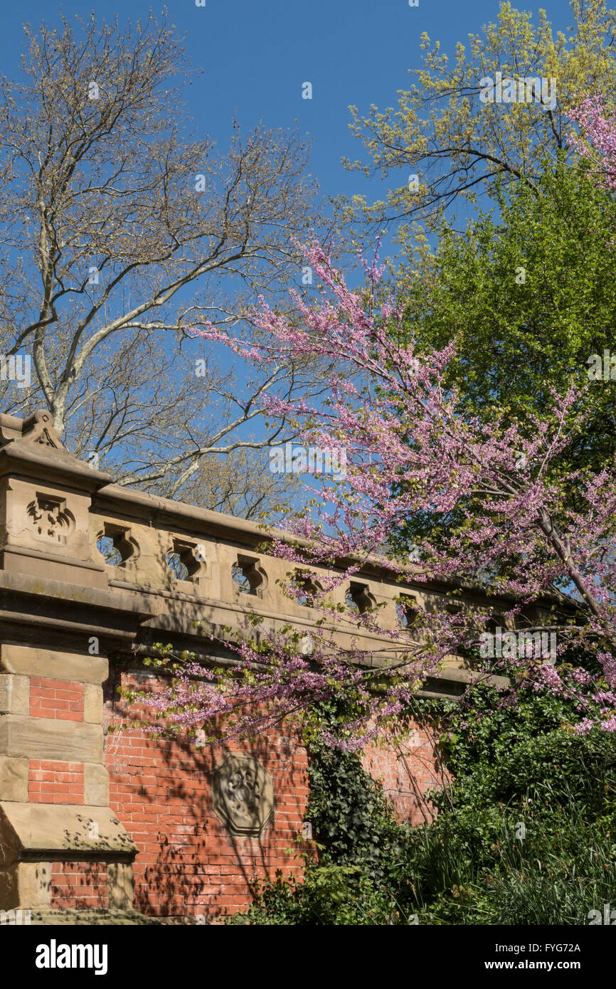Parete decorativa vicino Driprock Arch Central Park sottopassaggio, NYC Foto Stock