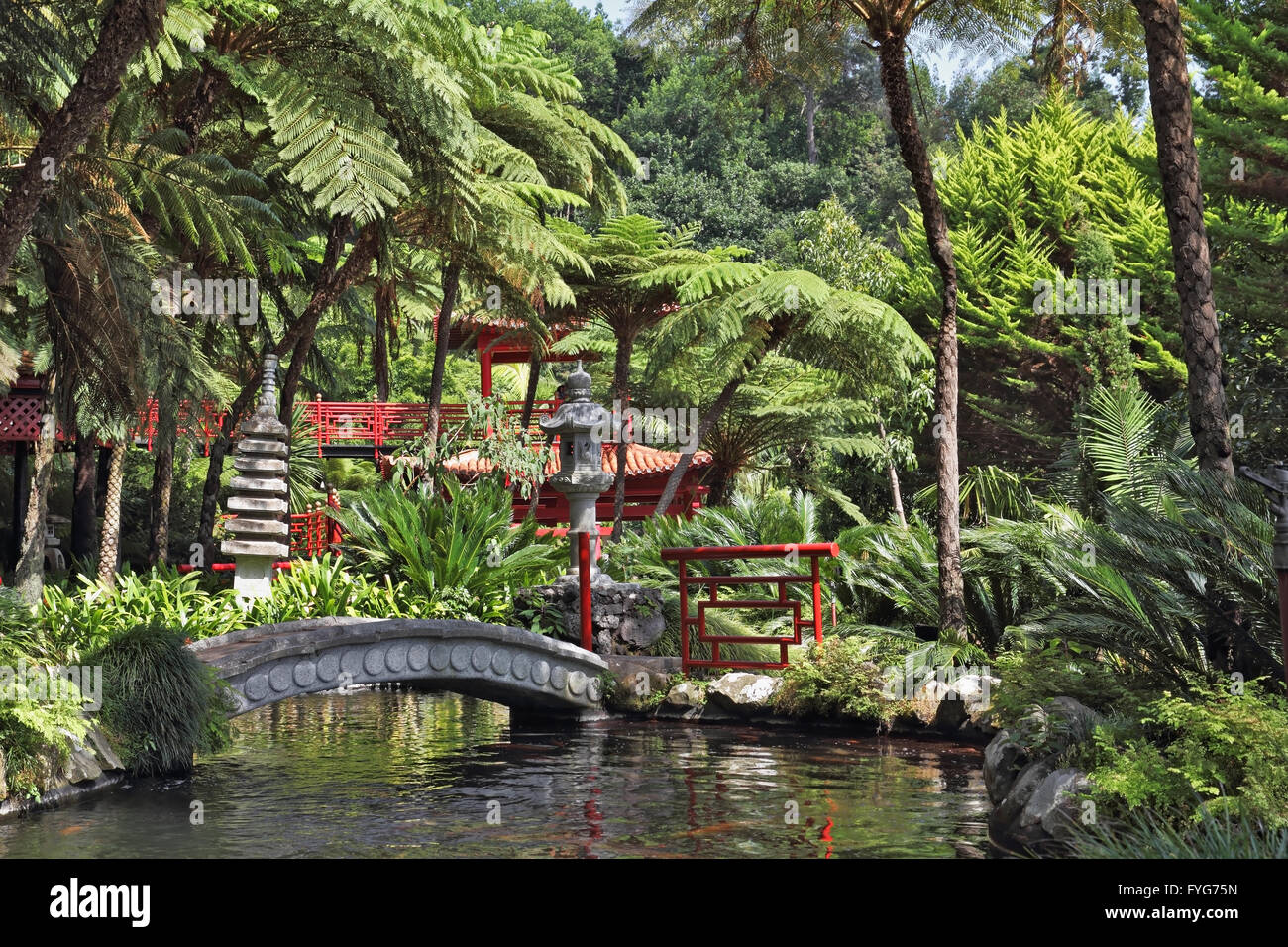 Il parco sul Madeira - Monte Palace Tropical Garden Foto Stock