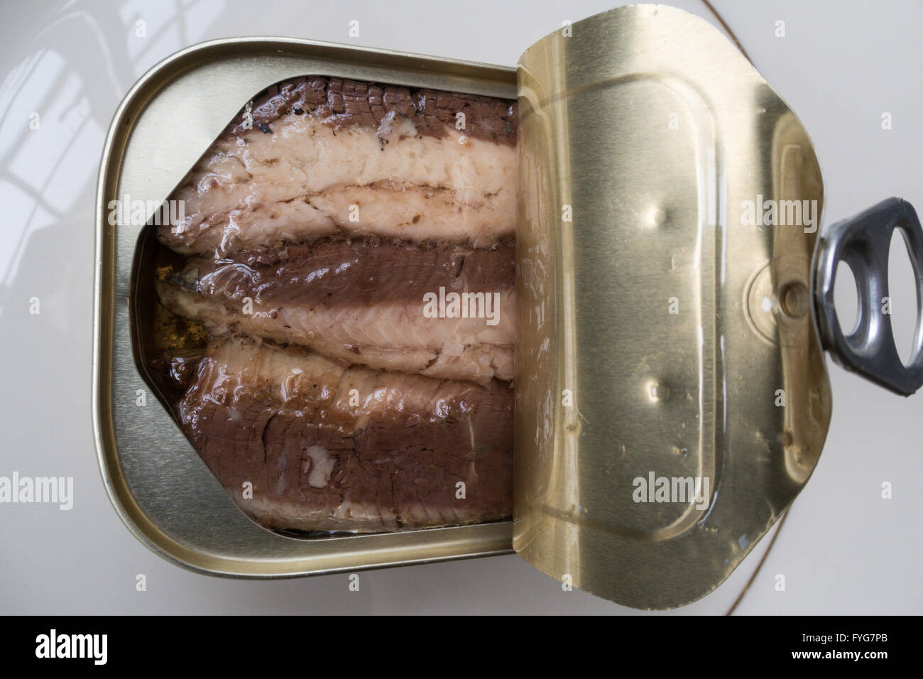 Aprire lo stagno di pelle di sardine, STATI UNITI D'AMERICA Foto Stock