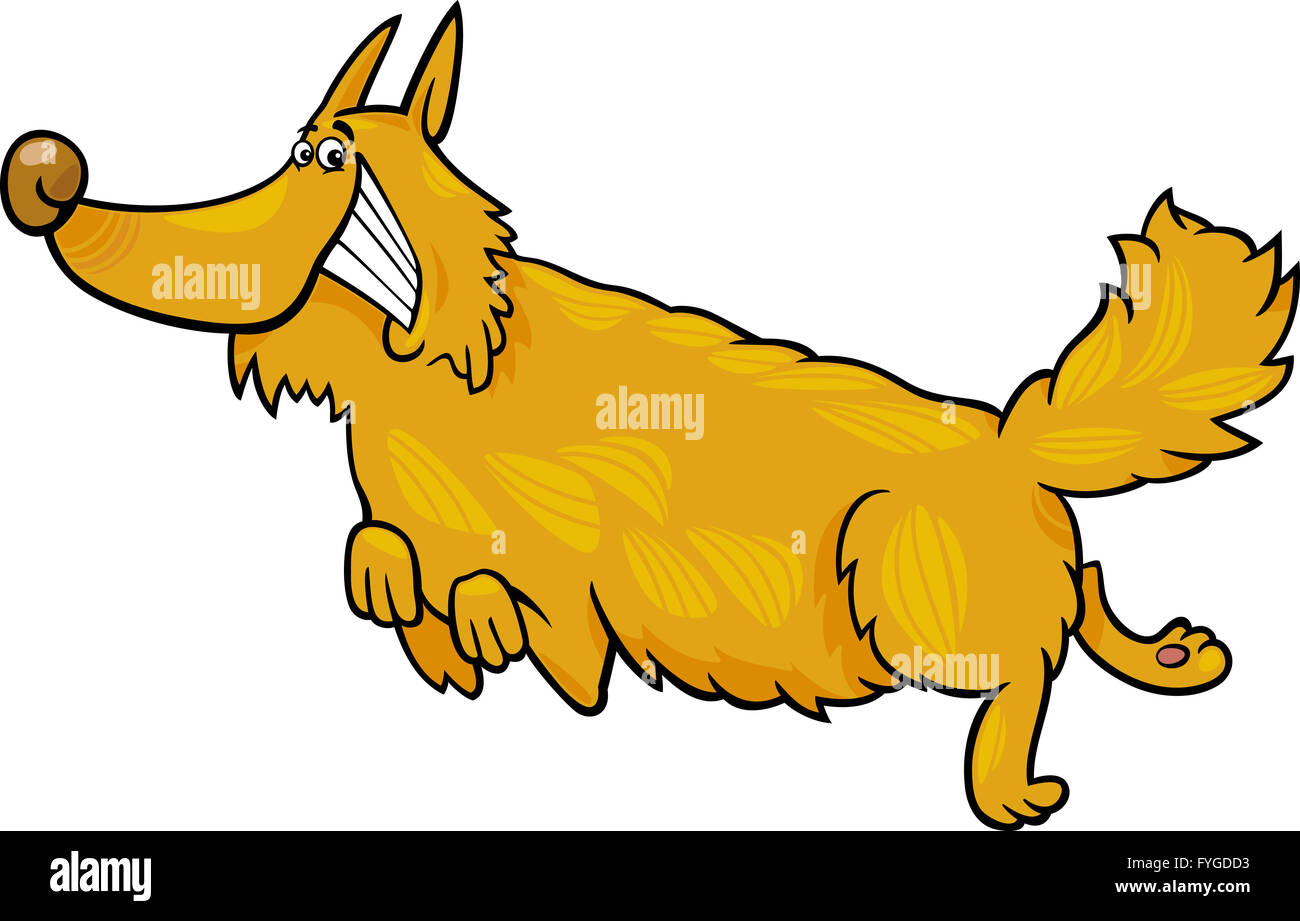 Felice shaggy cane in esecuzione Foto Stock