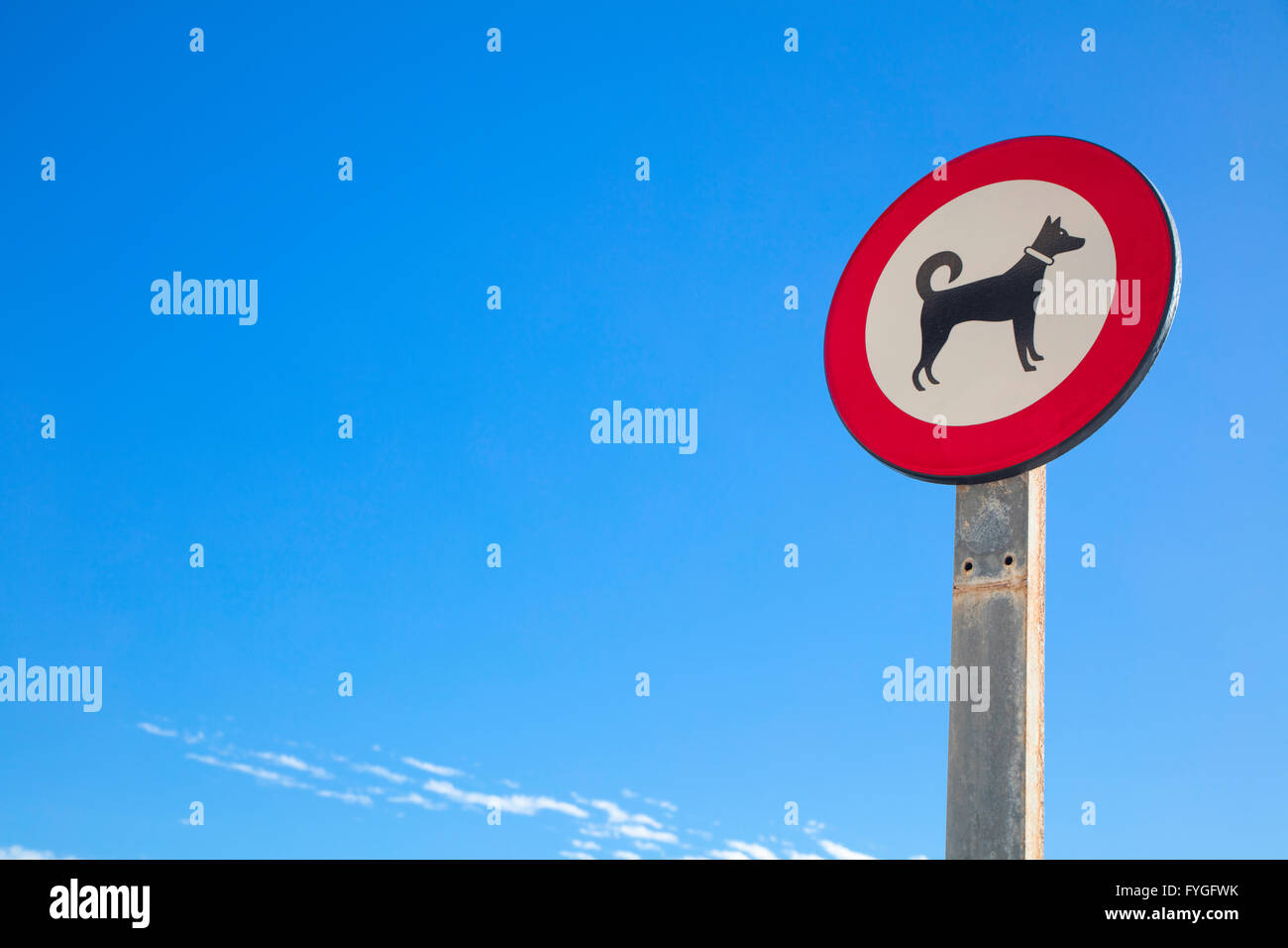 I cani non firmare con cielo blu in background Foto Stock