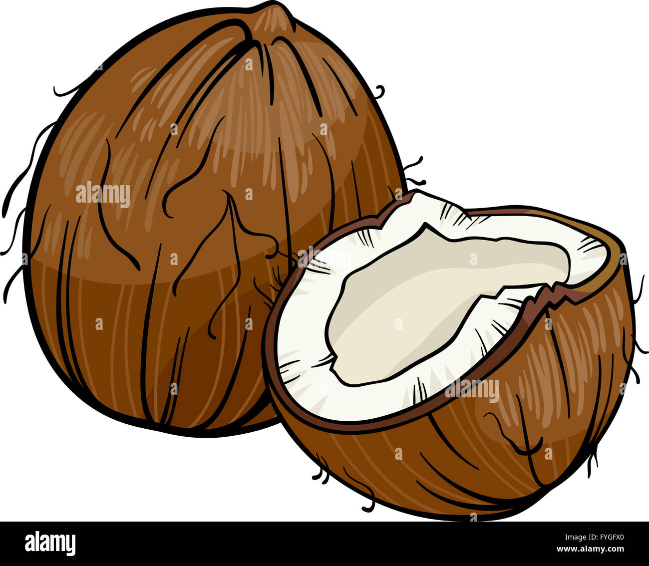 Noce di cocco illustrazione cartoon Foto Stock