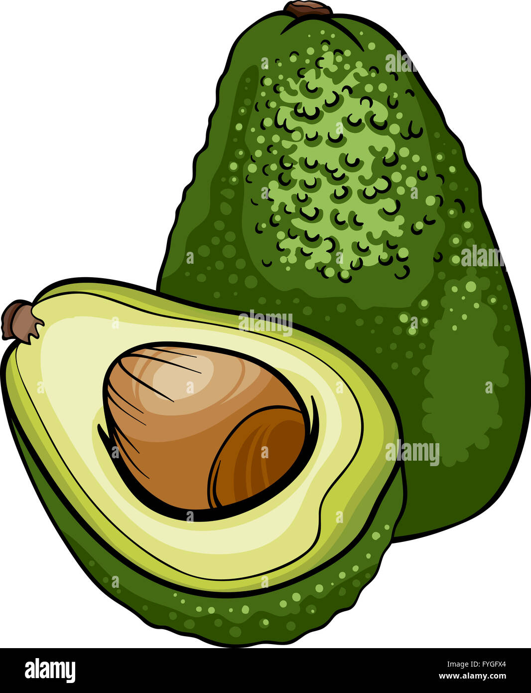 Frutto di avocado cartoon illustrazione Foto Stock