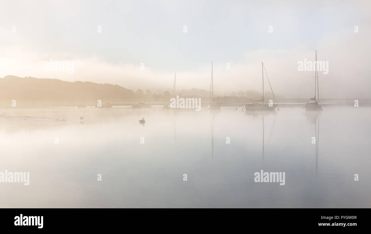 Misty alba sul fiume Cleddau vicino a Lawrenny - Pembrokeshire Foto Stock