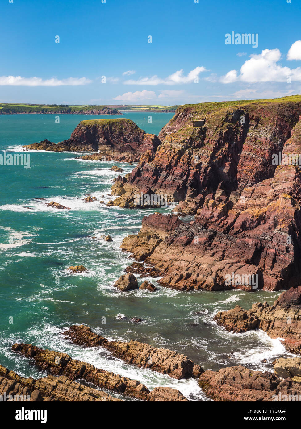 Isola di ratto in prossimità dell'angolo di West Bay cercando di Dale - Pembrokeshire Foto Stock