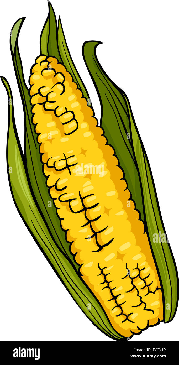 Sulla pannocchia di mais cartoon illustrazione Foto Stock
