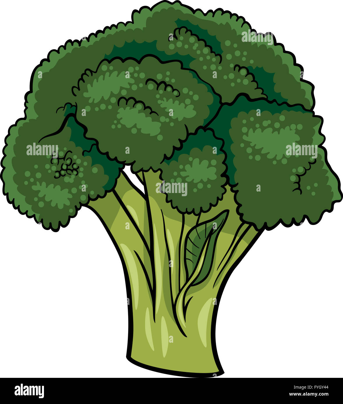 Verdure broccoli cartoon illustrazione Foto Stock