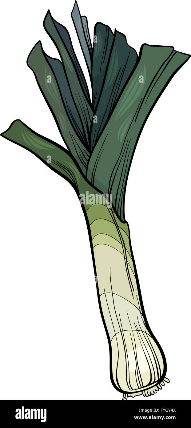 Il Porro vegetale illustrazione cartoon Foto Stock