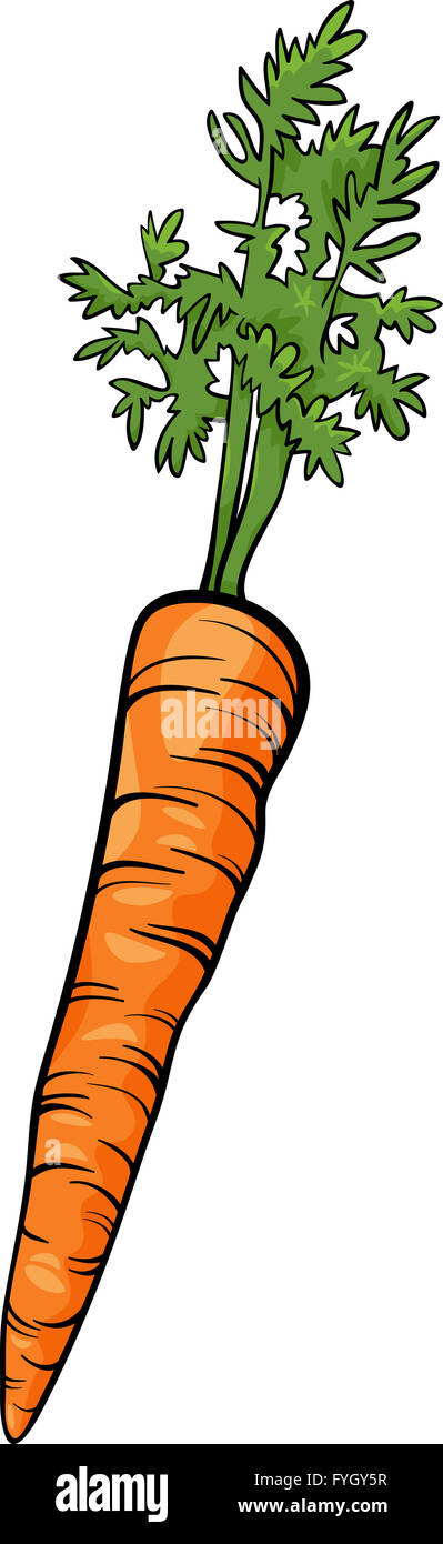 Radice di carota vegetale illustrazione cartoon Foto Stock