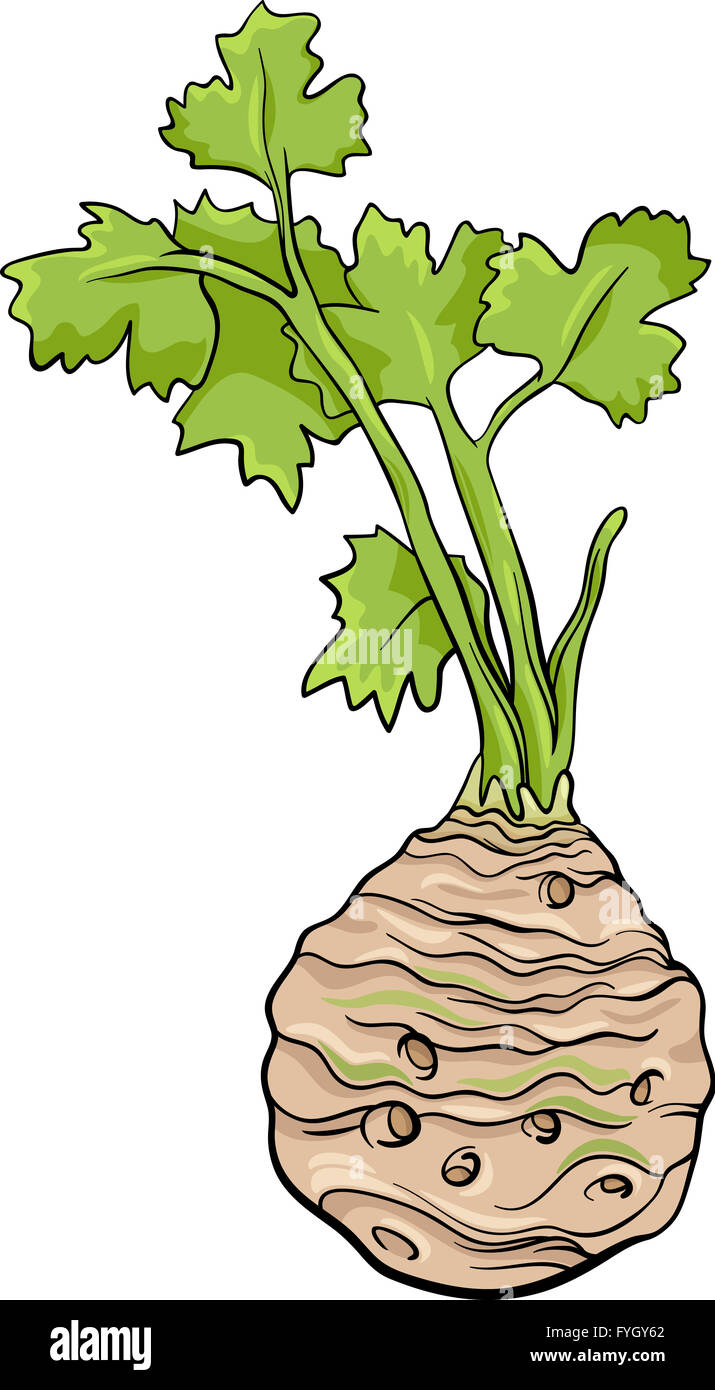 Il sedano vegetale illustrazione cartoon Foto Stock