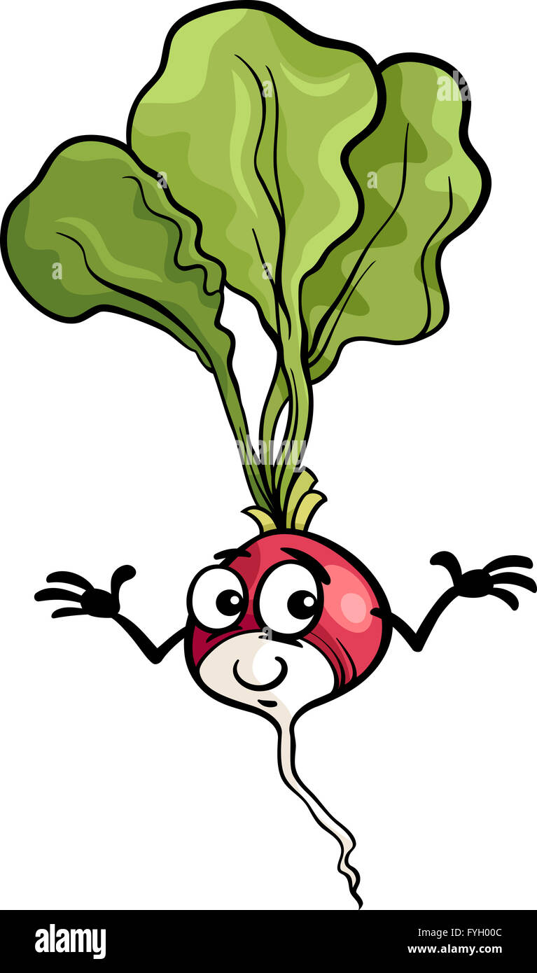 Carino Il Ravanello di vegetali illustrazione cartoon Foto Stock
