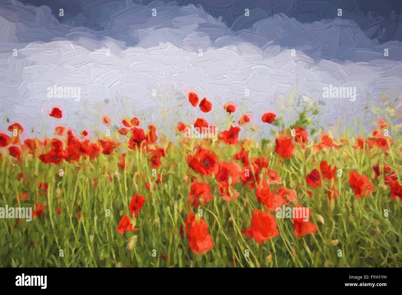 Pittura ad Olio paesaggio estivo - campo di papaveri con nuvole  temporalesche. Olio originale pittura su tela Foto stock - Alamy