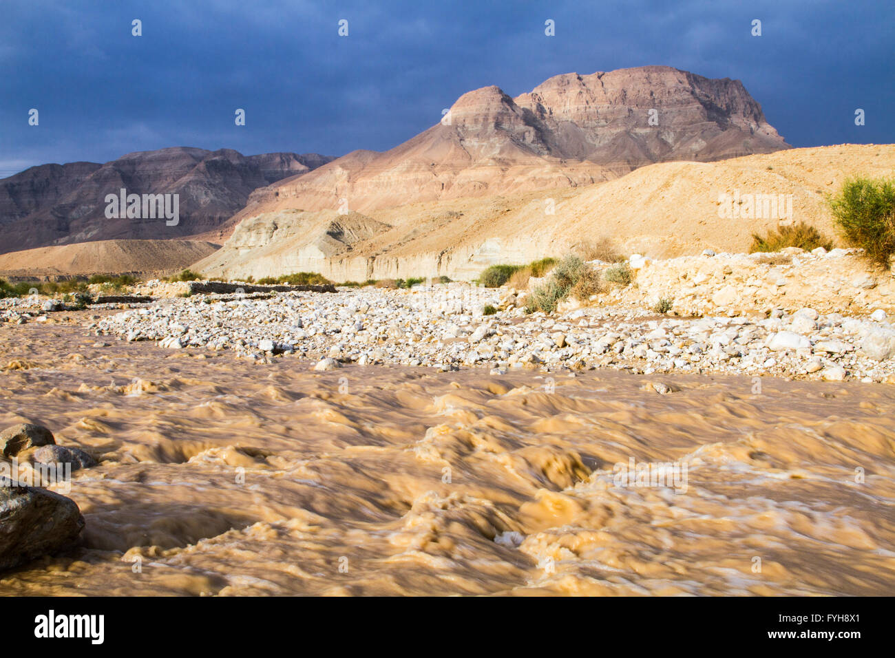 Inverno inondazione nel deserto della Giudea, Israele Foto Stock