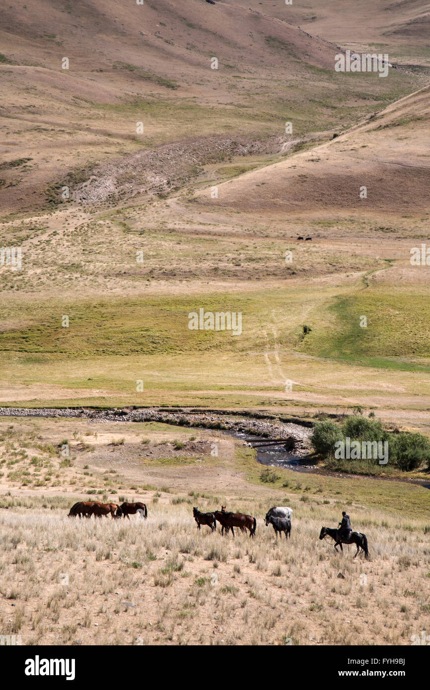 Il contadino a cavallo nei pressi del lago di Issyk-Kul in Kirghizistan. Foto Stock