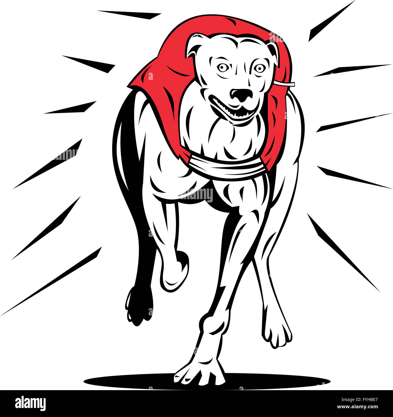 Cane Greyhound Racing retrò Foto Stock