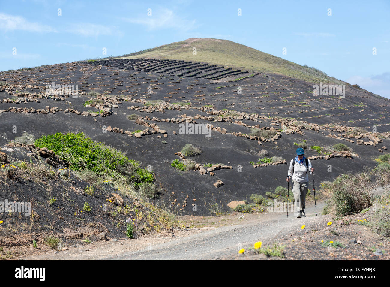 Donna escursionismo attraverso il paesaggio vulcanico, La Geria, Lanzarote, Isole Canarie, Spagna Foto Stock
