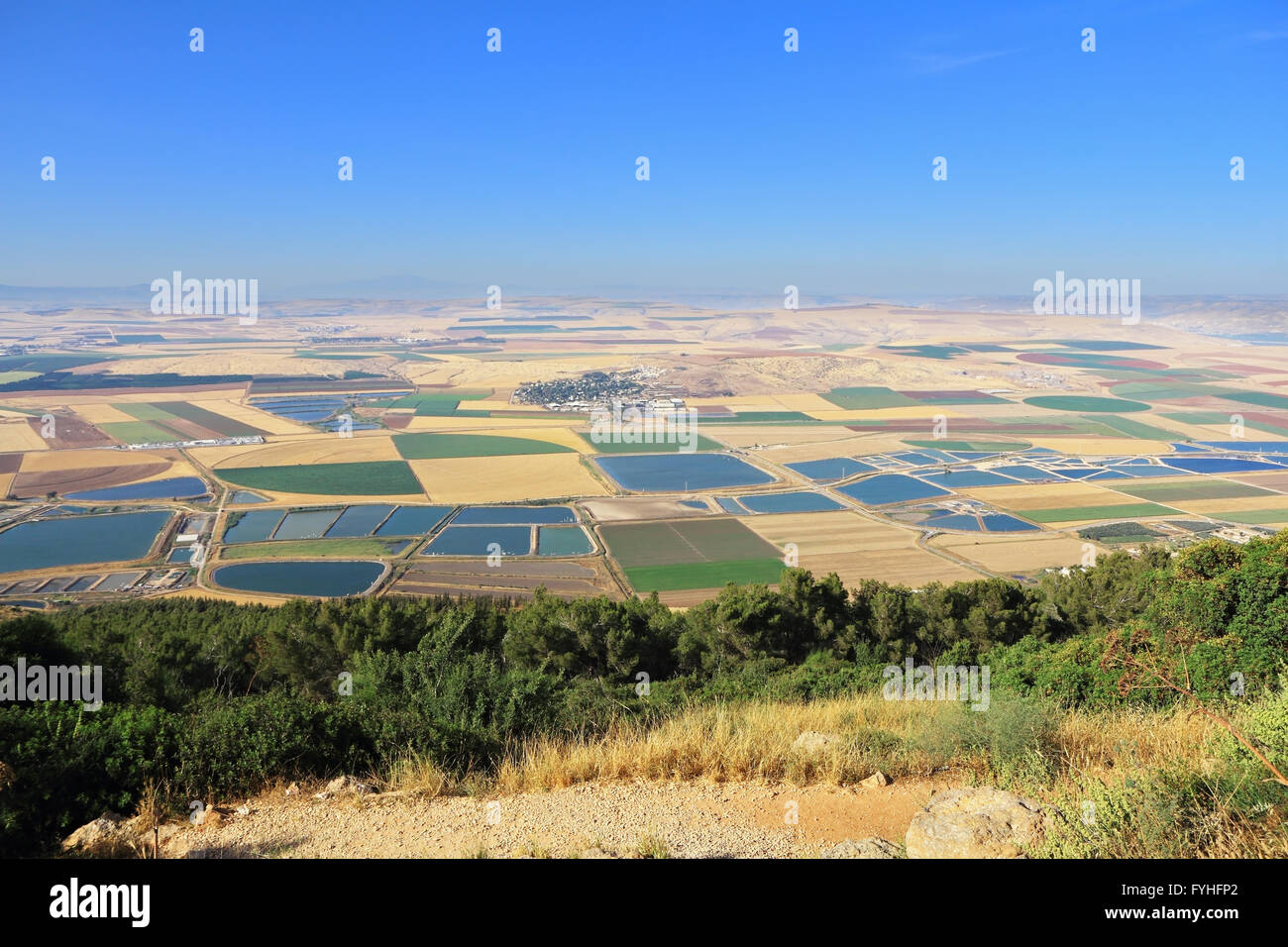 Pittoresche piazze campi colorati della valle di Galilea Foto Stock