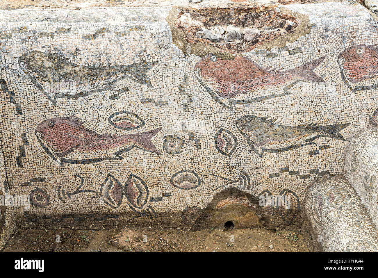 Mosaici di pesce in rovine romane, Milreu, Algarve, PORTOGALLO Foto Stock