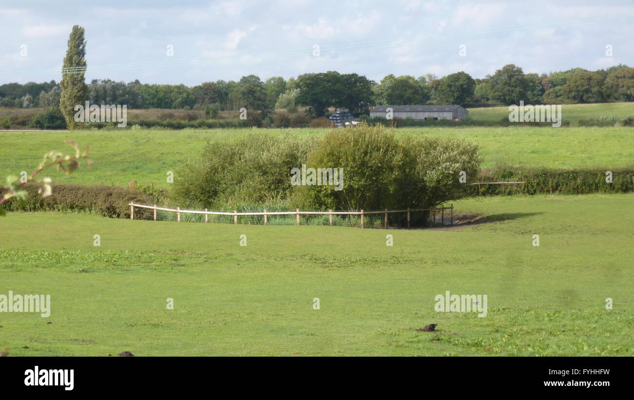 Marl Pit stagno nel Cheshire Regno Unito. Recintata per arrestare il bestiame vagare in essa. Foto Stock