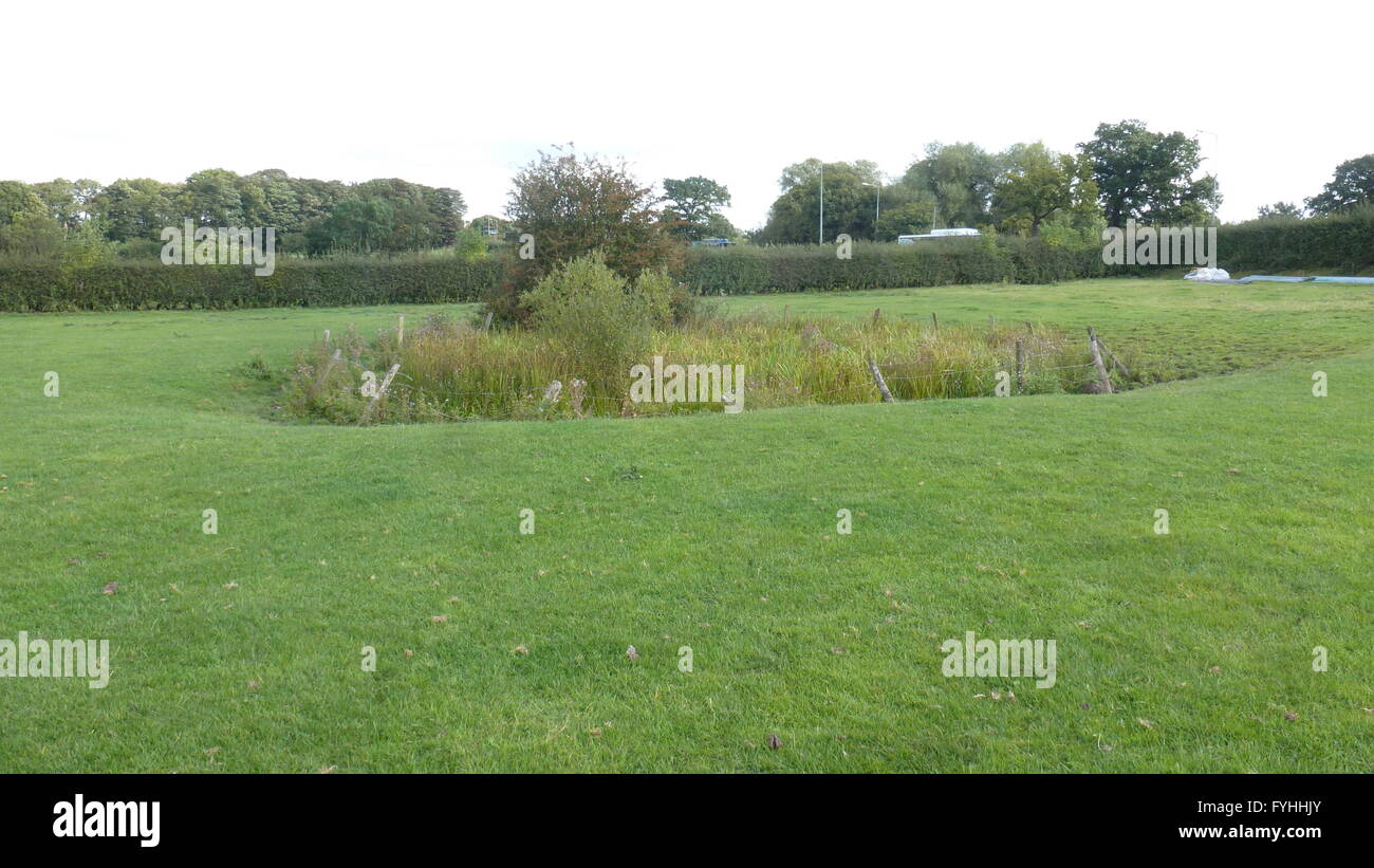 Marl Pit stagno nel Cheshire Regno Unito Foto Stock