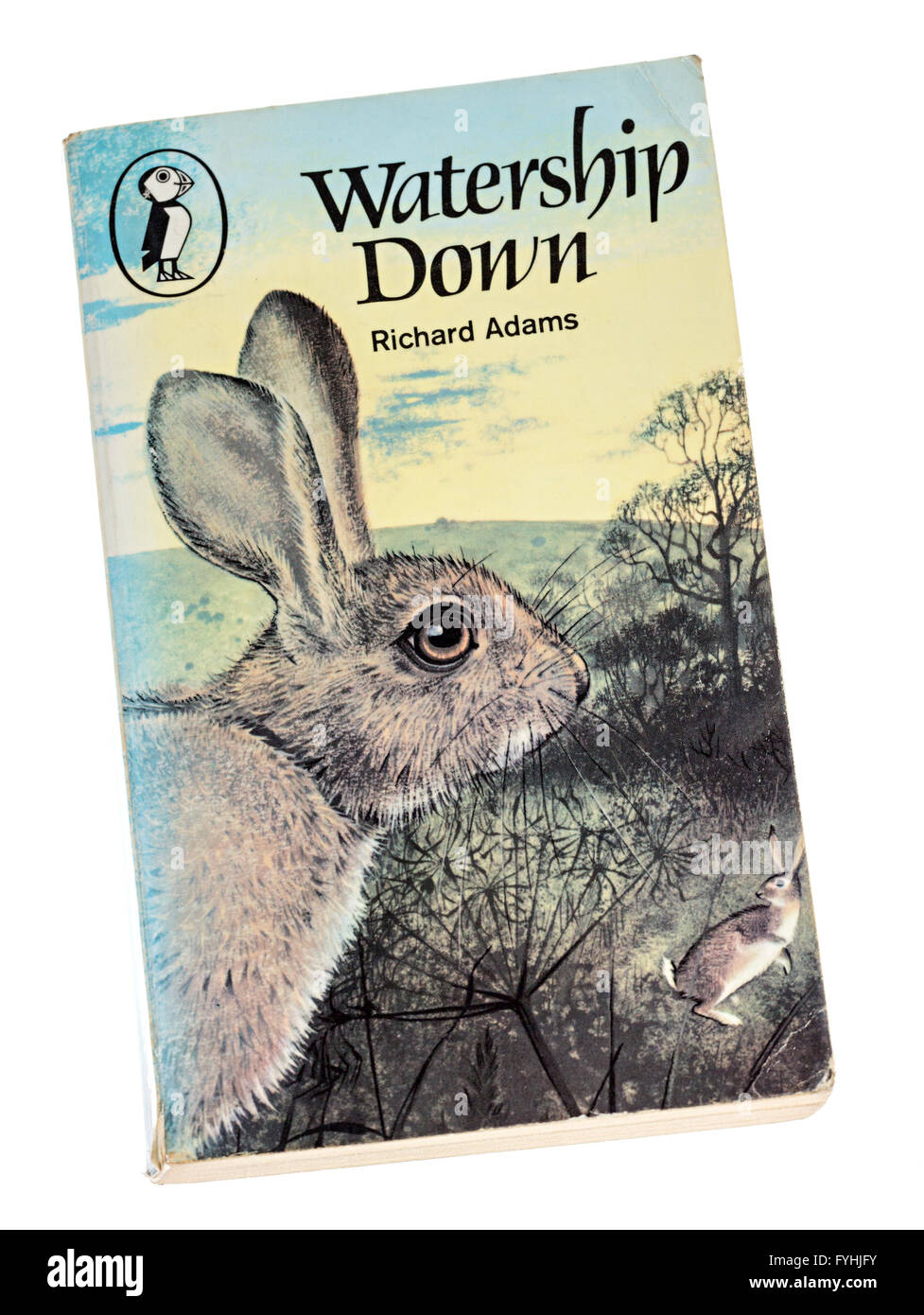Richard Adams Watership Down libro in brossura copertina Foto Stock