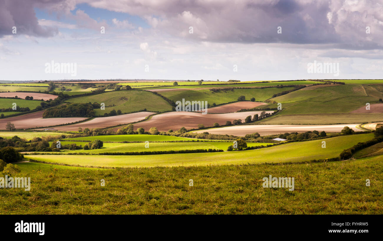 Un patchwork paesaggio di campi agricoli e lungo le siepi in Valle Sydling sotto le colline del Dorset Downs. Foto Stock