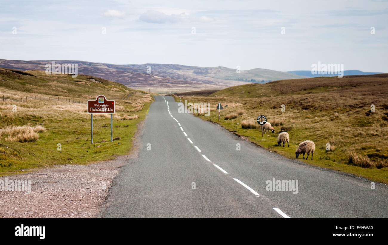 Un segno accogliendo i viaggiatori per il distretto di Teesdale della Contea di Durham sul telecomando moorland in Inghilterra settentrionale. Foto Stock