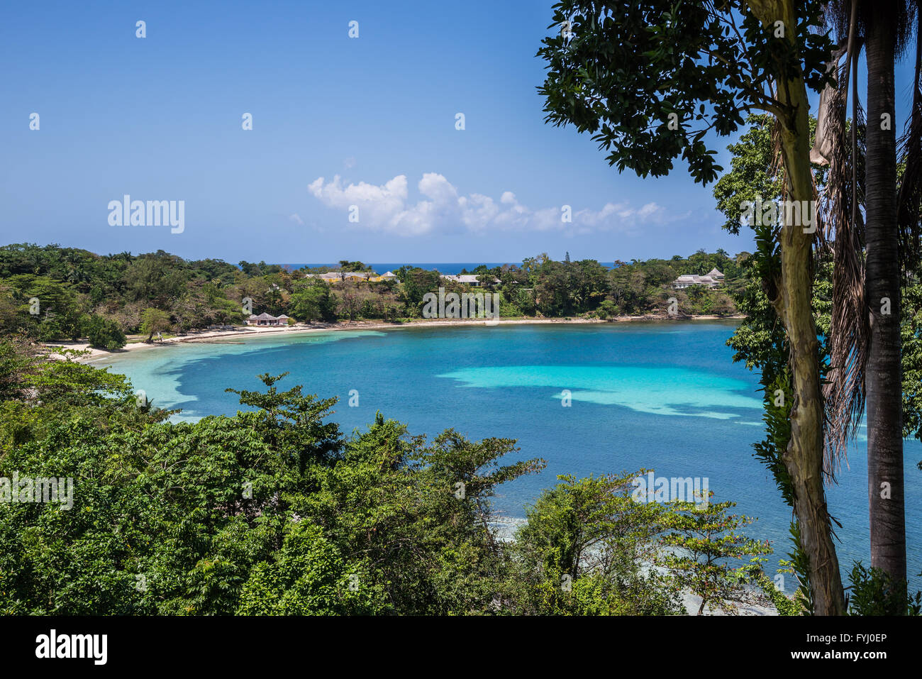 Bella blu acqua e lussureggiante foresta verde nell'isola di Giamaica, Caraibi. Foto Stock