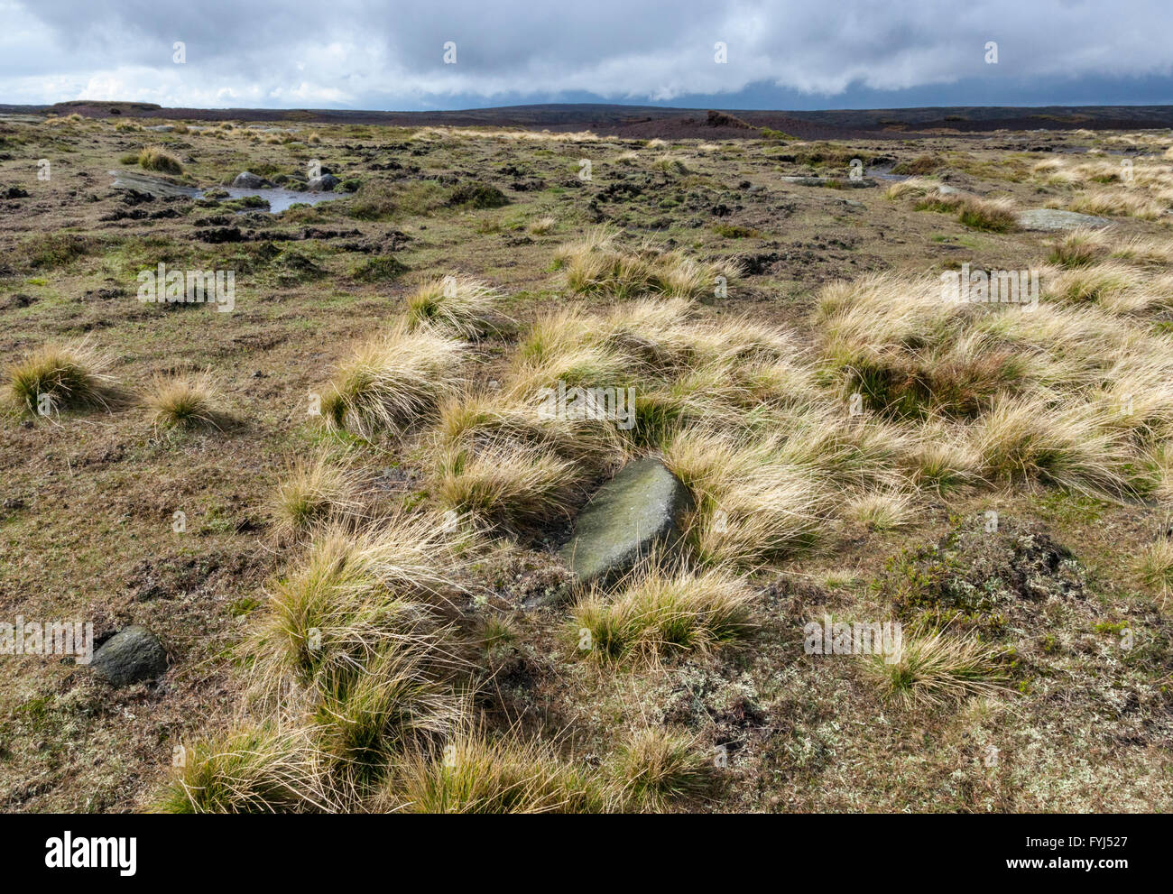 Nuvole temporalesche passando sopra peatland spazzate dal vento in autunno. Kinder Scout altopiano, Derbyshire, Parco Nazionale di Peak District, England, Regno Unito Foto Stock