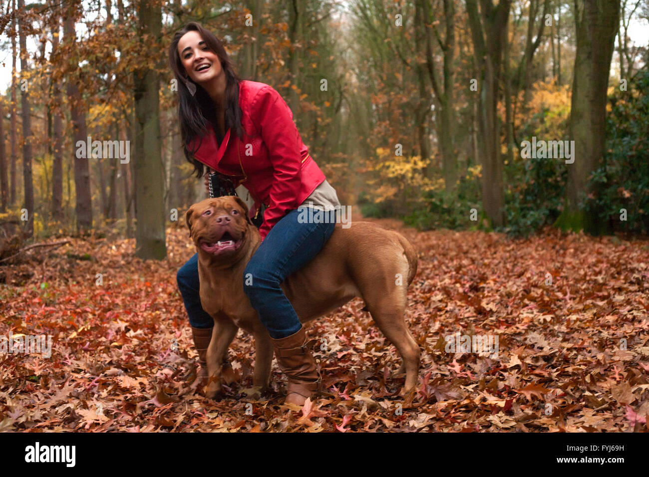 Equitazione il mio cane Foto Stock