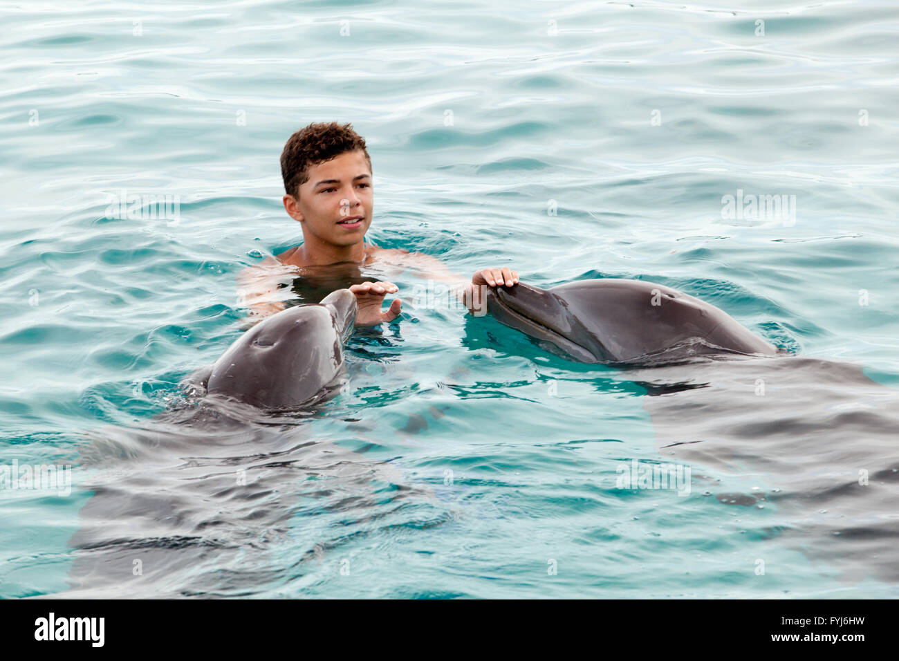 Ragazzo e i delfini Foto Stock