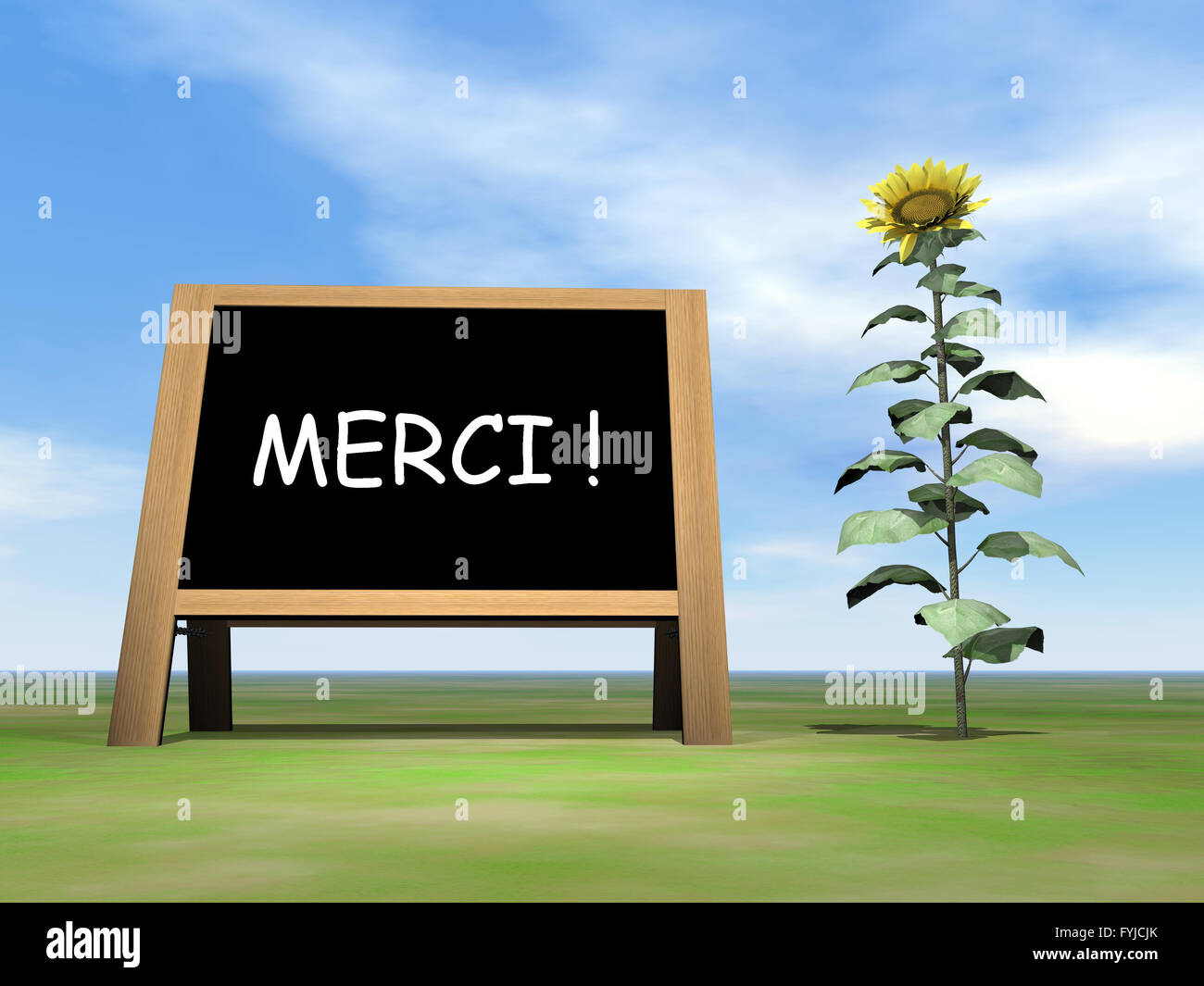 Girasole blackboard ringraziarvi in francese - 3D render Foto Stock