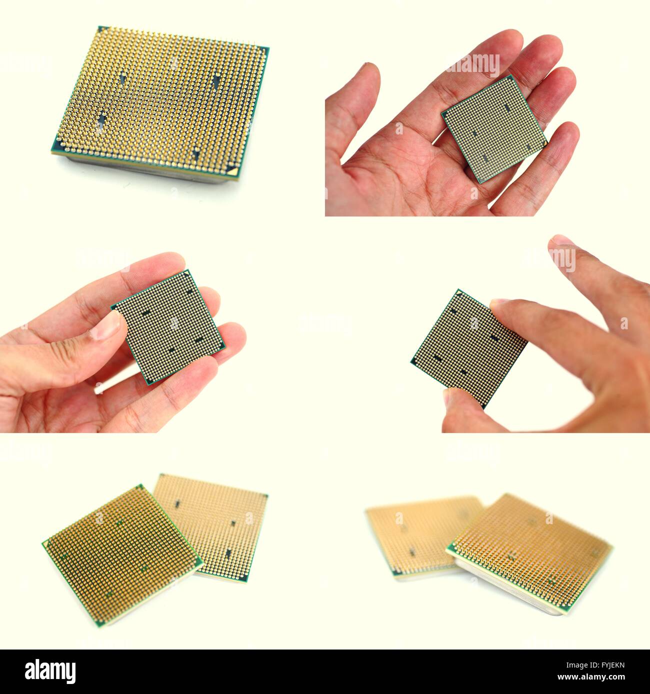 Le moderne CPU in mens mani set di immagini. Lato posteriore del microprocessore con gambe d'oro Foto Stock