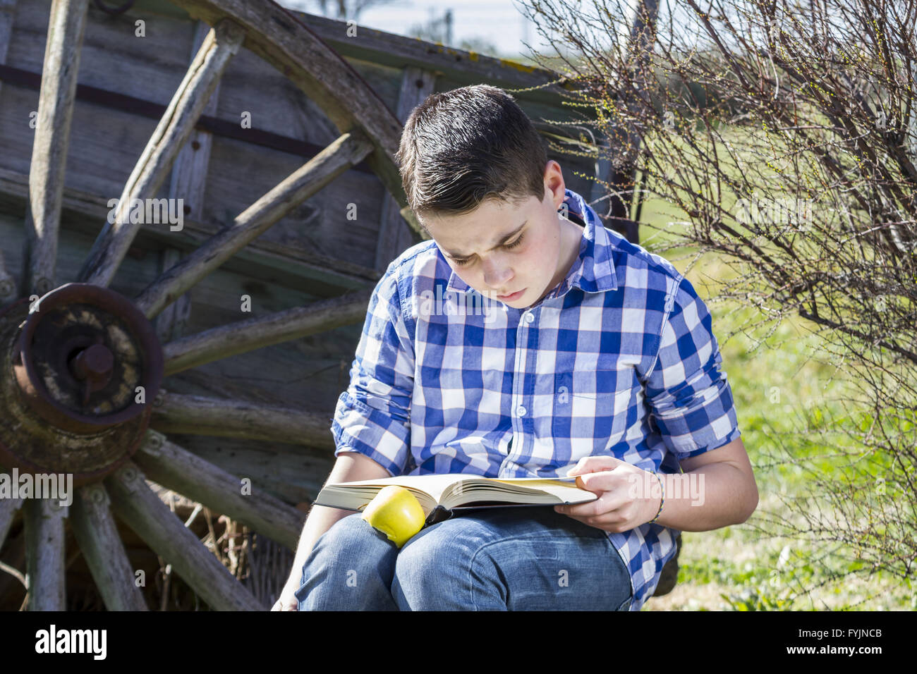 Studente.giovane uomo leggendo un libro in outdoor con giallo apple. Foto Stock