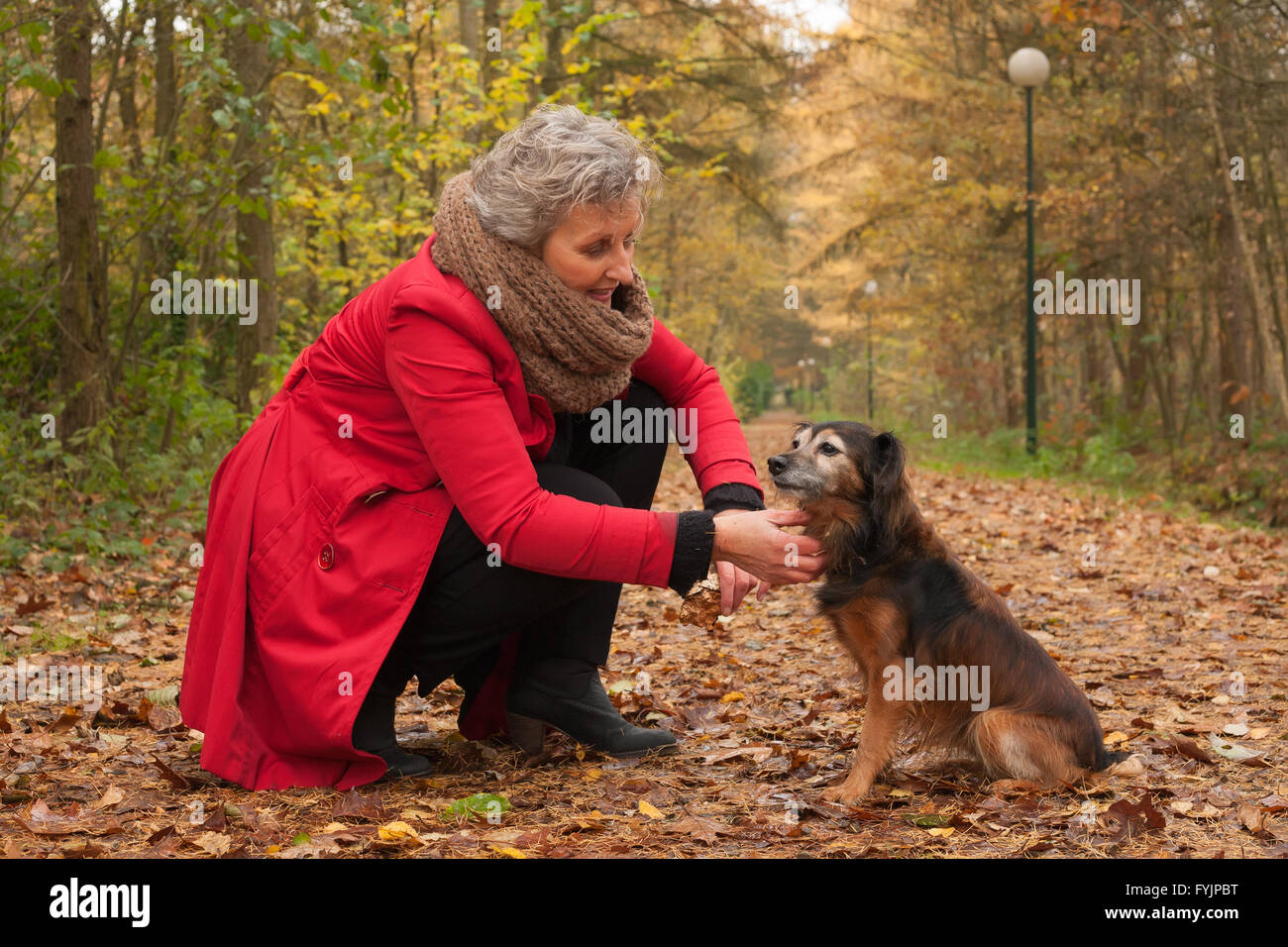Donna in pensione si prende cura del suo cane Foto Stock