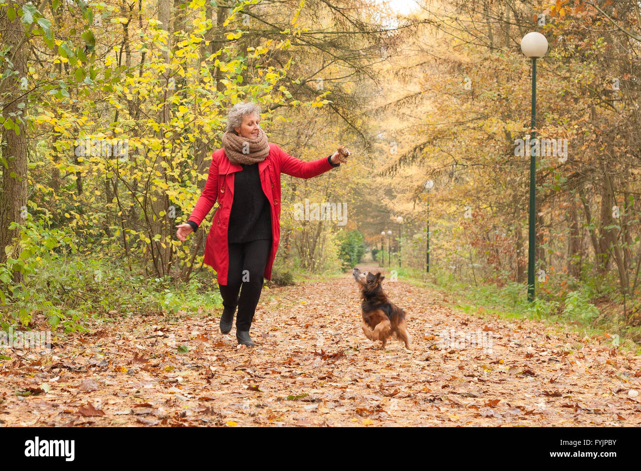 Centro anziana signora sta giocando con il suo cane Foto Stock