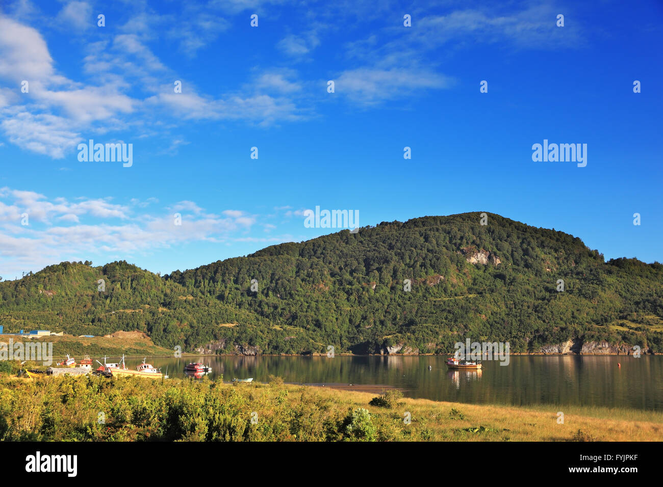 Carretera Austral - la strada in Patagonia cilena Foto Stock