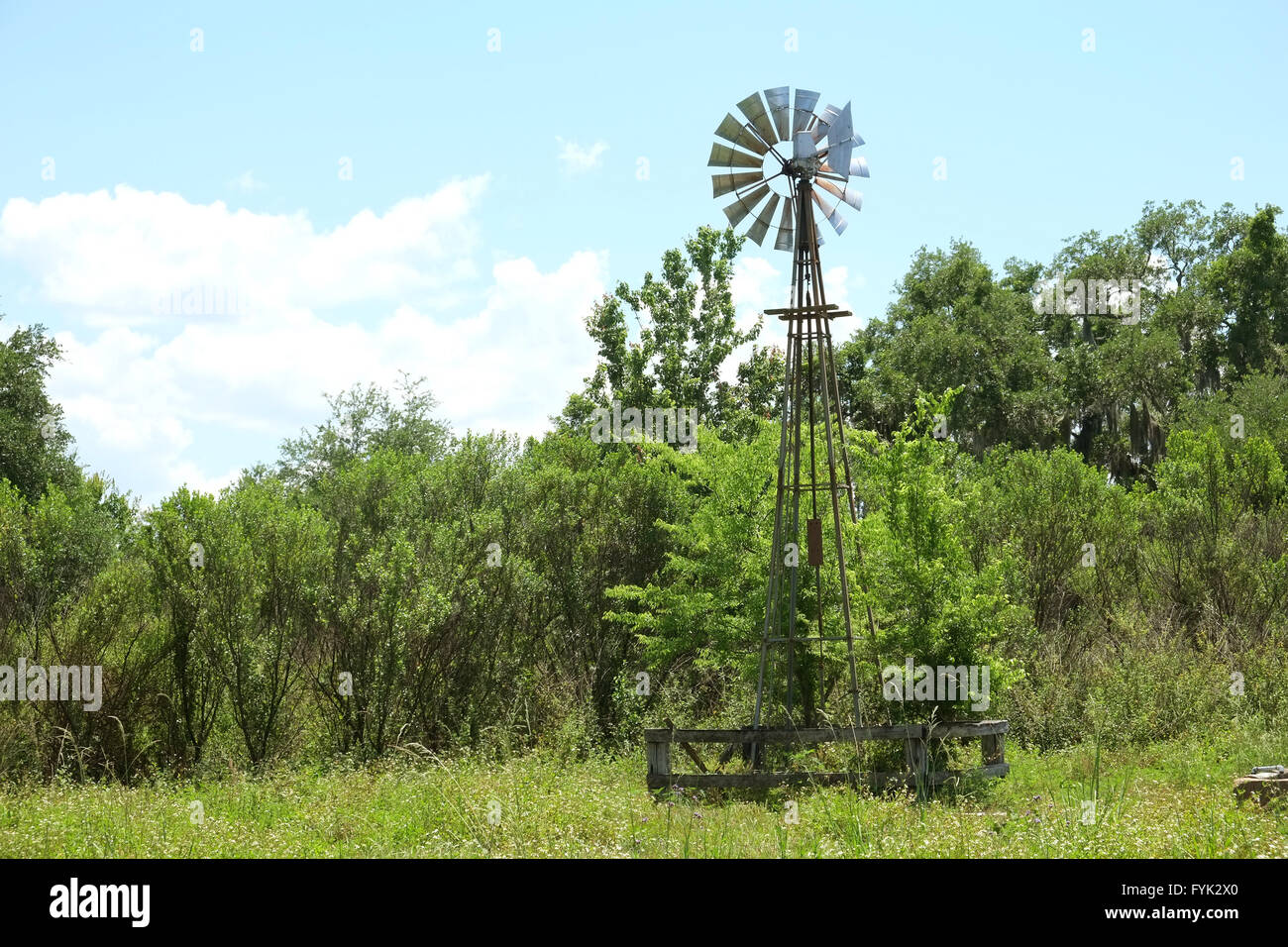 Vento Piccola pompa alimentata su una farm o in un ranch in Florida centrale, STATI UNITI D'AMERICA Foto Stock