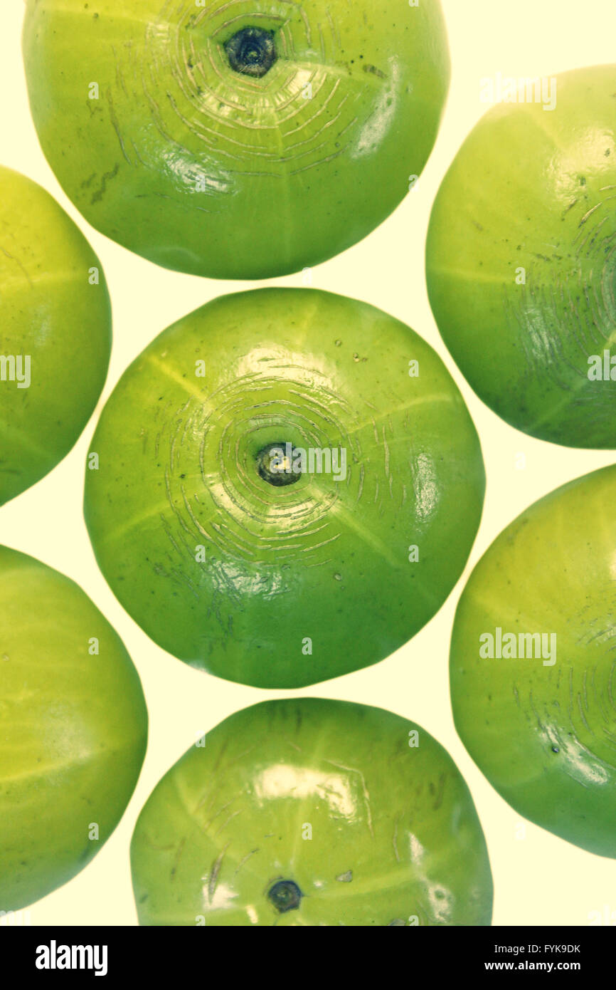 Phyllanthus emblica immagini e fotografie stock ad alta risoluzione - Alamy